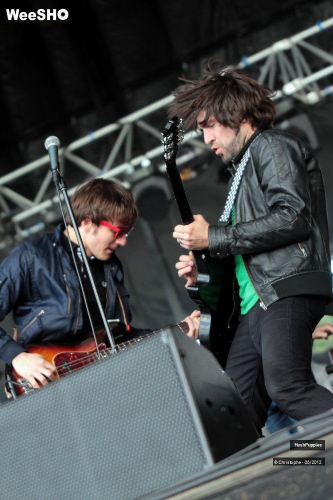 40/50 photos du spectacle Hushpuppies