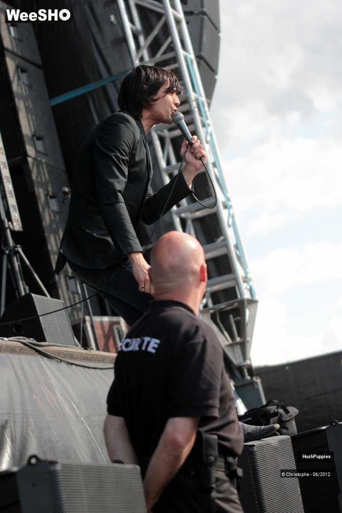 45/50 photos du spectacle Hushpuppies