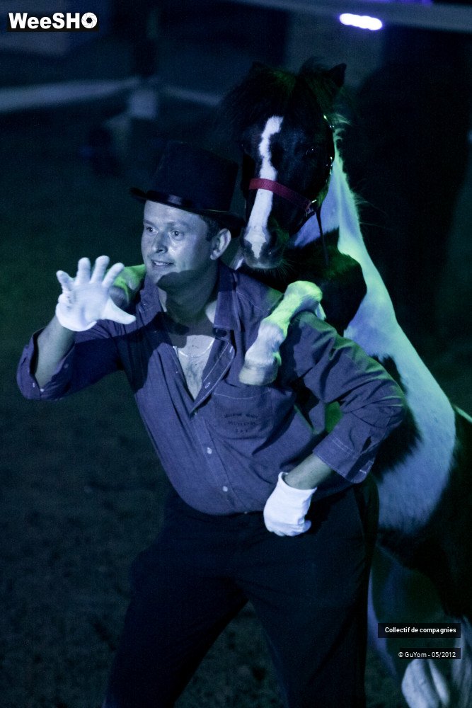 36/44 photos du spectacle Spectacle Equestre 2 Confirmés