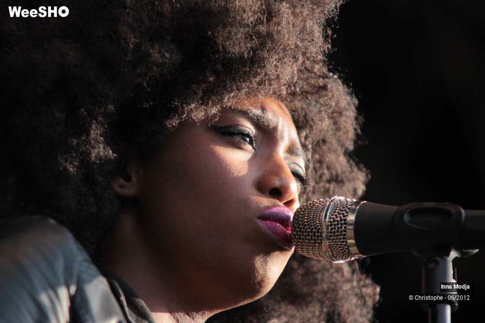 12/50 photos du spectacle Inna Modja