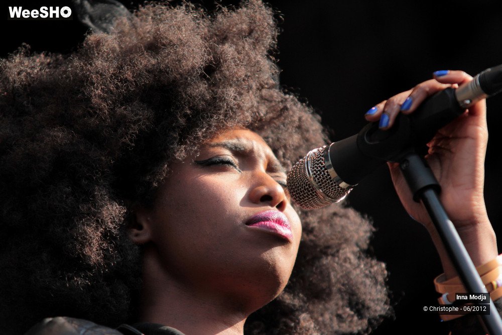 22/50 photos du spectacle Inna Modja