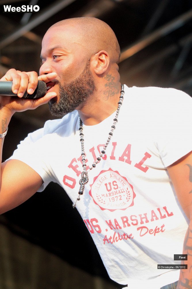 30/50 photos du spectacle Passi