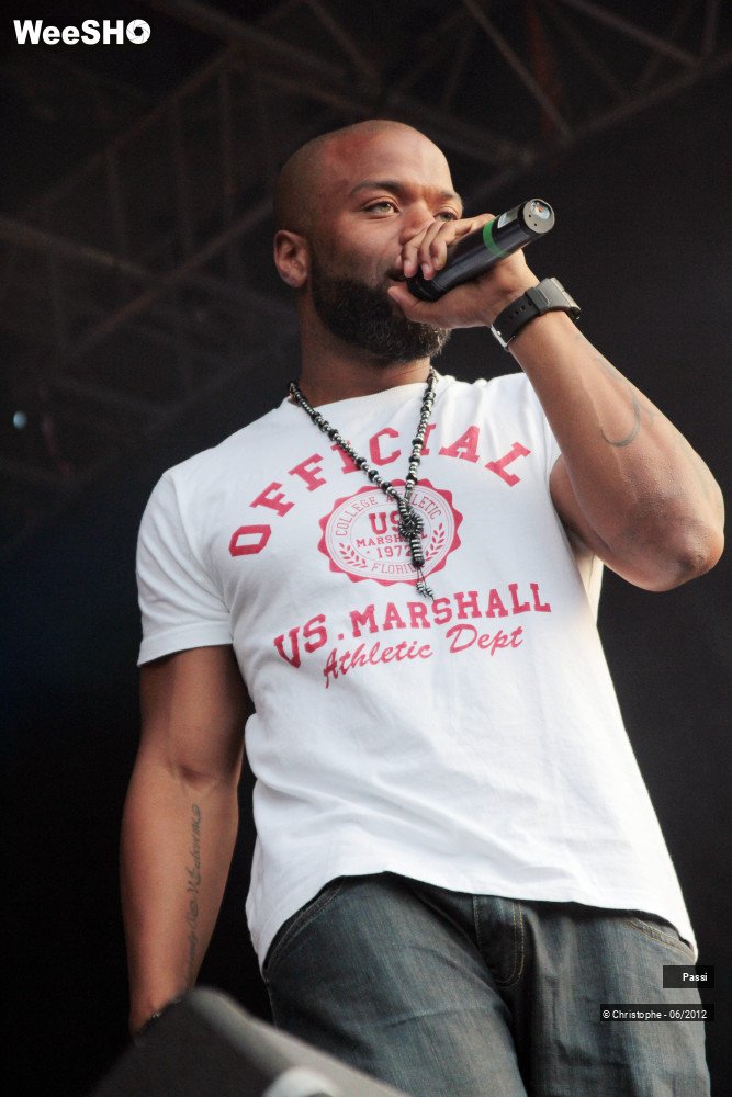 32/50 photos du spectacle Passi