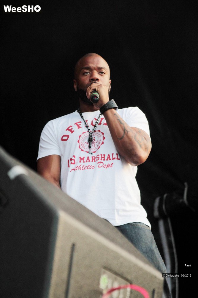 49/50 photos du spectacle Passi