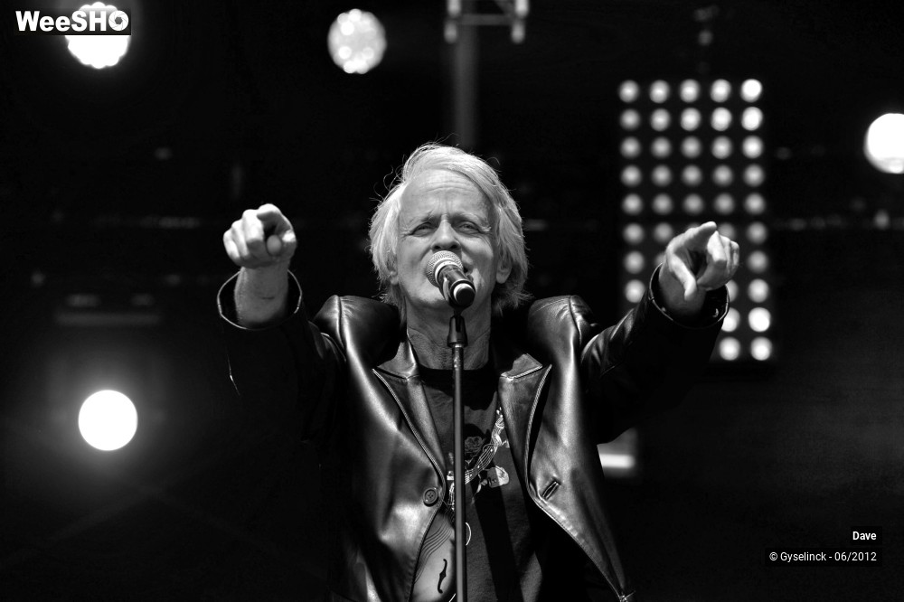 29/38 photos du spectacle Dave