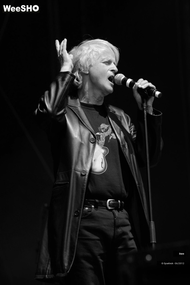 30/38 photos du spectacle Dave