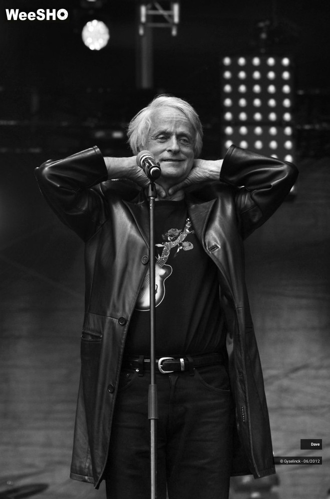 36/38 photos du spectacle Dave