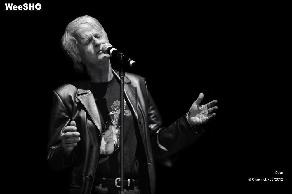 37/38 photos du spectacle Dave