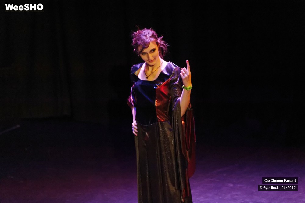 1/31 photos du spectacle Blanche neige et les dix nains