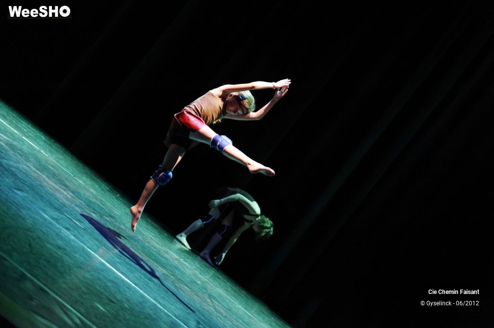 2/31 photos du spectacle Blanche neige et les dix nains