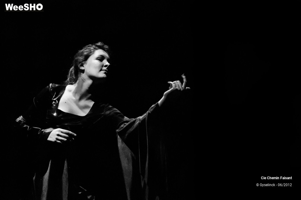 3/31 photos du spectacle Blanche neige et les dix nains