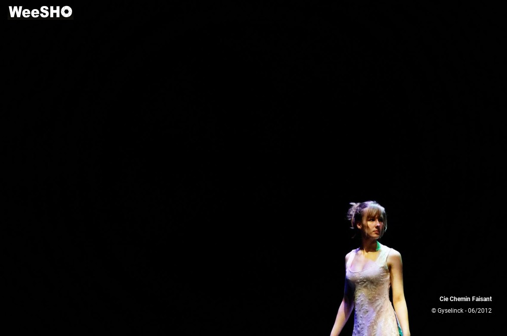 4/31 photos du spectacle Blanche neige et les dix nains