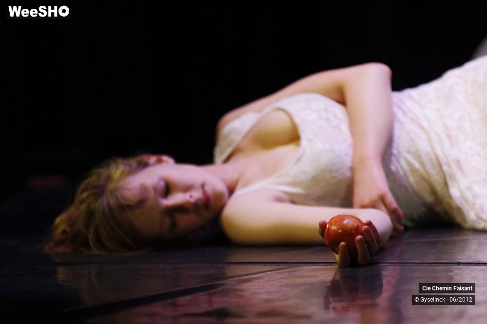 12/31 photos du spectacle Blanche neige et les dix nains