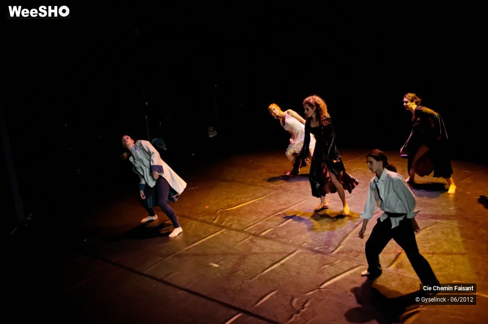 14/31 photos du spectacle Blanche neige et les dix nains