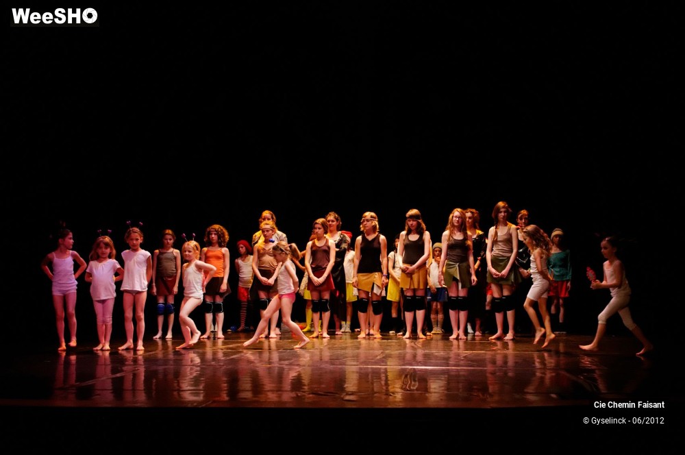 18/31 photos du spectacle Blanche neige et les dix nains