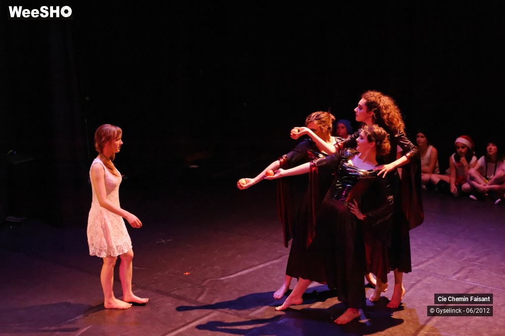 24/31 photos du spectacle Blanche neige et les dix nains