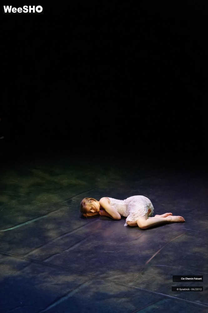 26/31 photos du spectacle Blanche neige et les dix nains