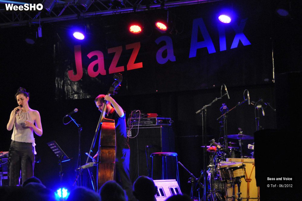 1/22 photos du spectacle Bass and Voice