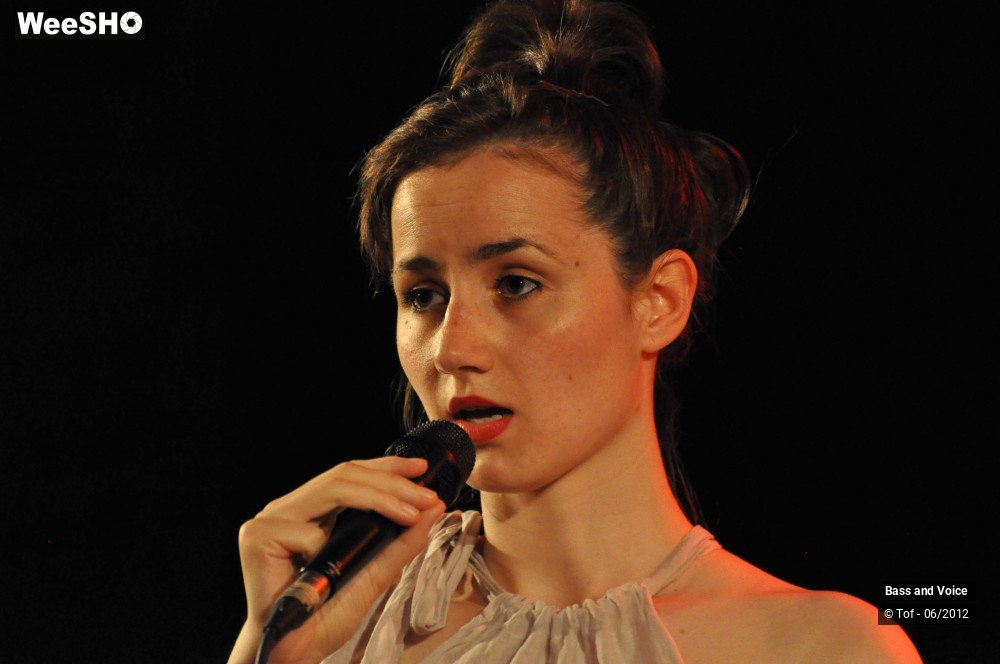 2/22 photos du spectacle Bass and Voice