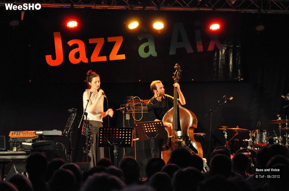 3/22 photos du spectacle Bass and Voice