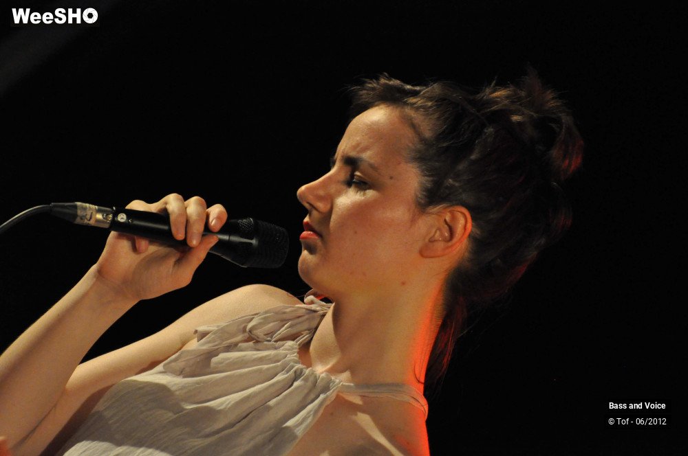 4/22 photos du spectacle Bass and Voice