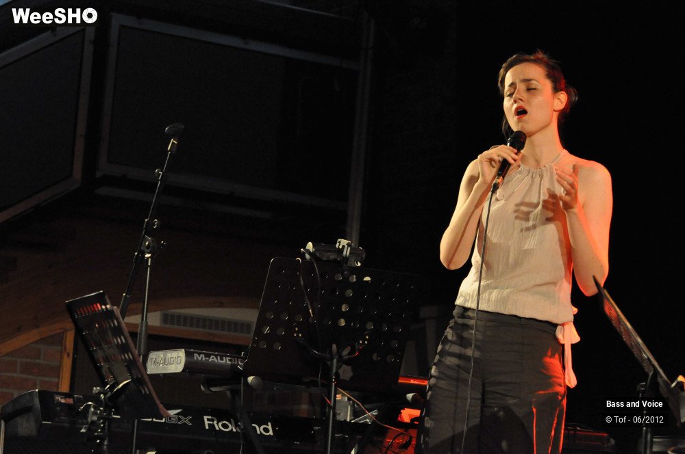 5/22 photos du spectacle Bass and Voice