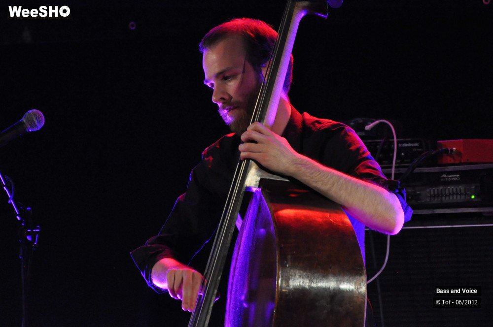 6/22 photos du spectacle Bass and Voice