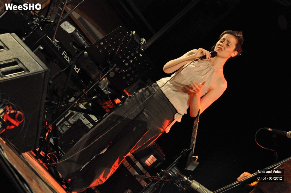 7/22 photos du spectacle Bass and Voice