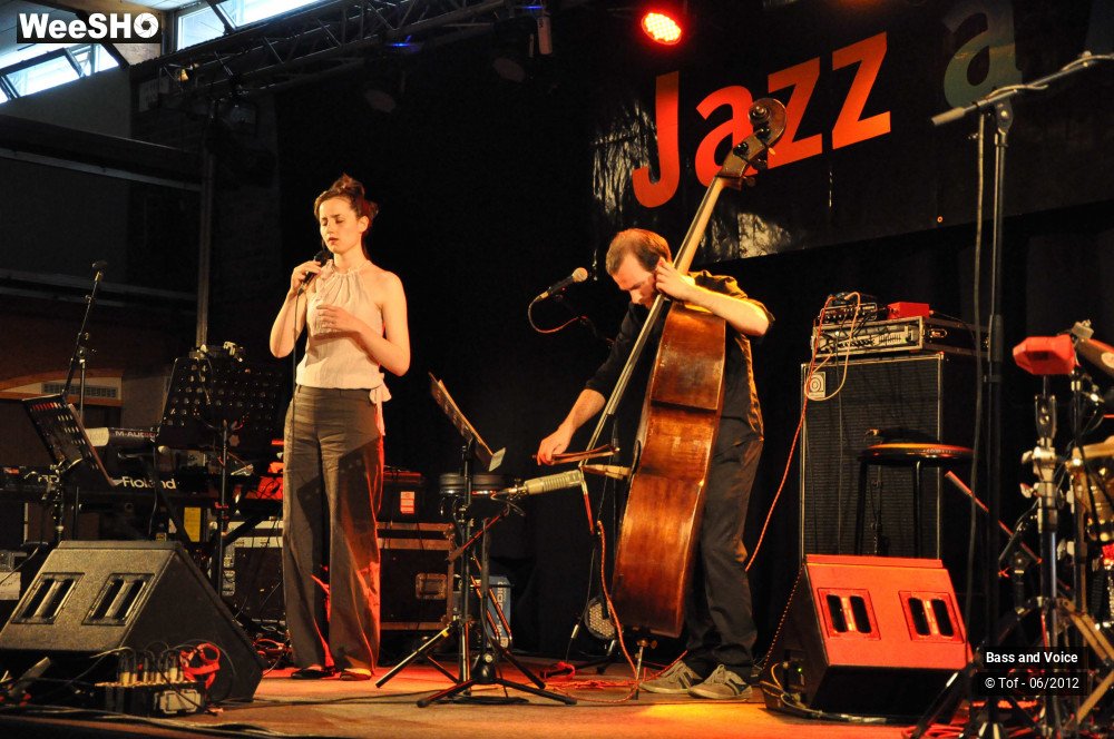 8/22 photos du spectacle Bass and Voice