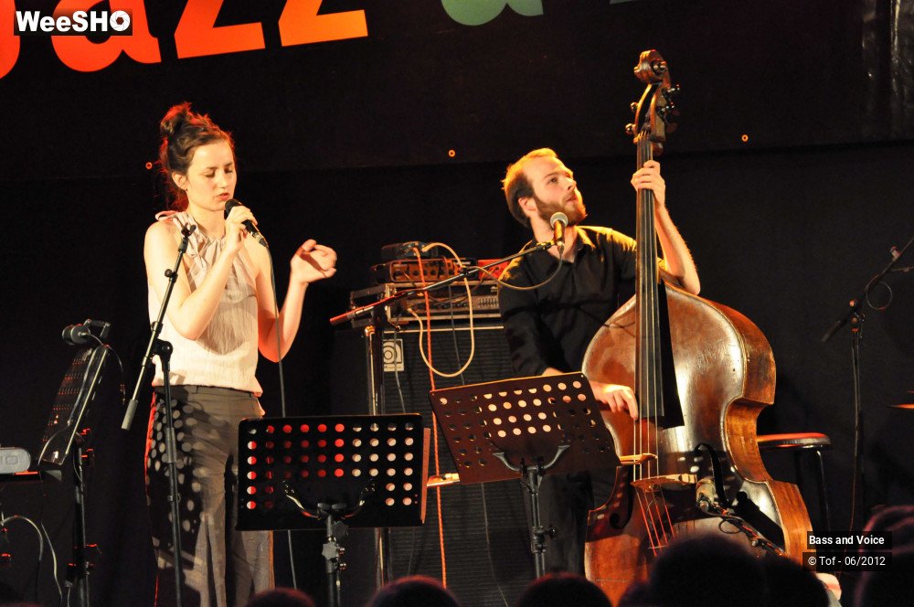 9/22 photos du spectacle Bass and Voice