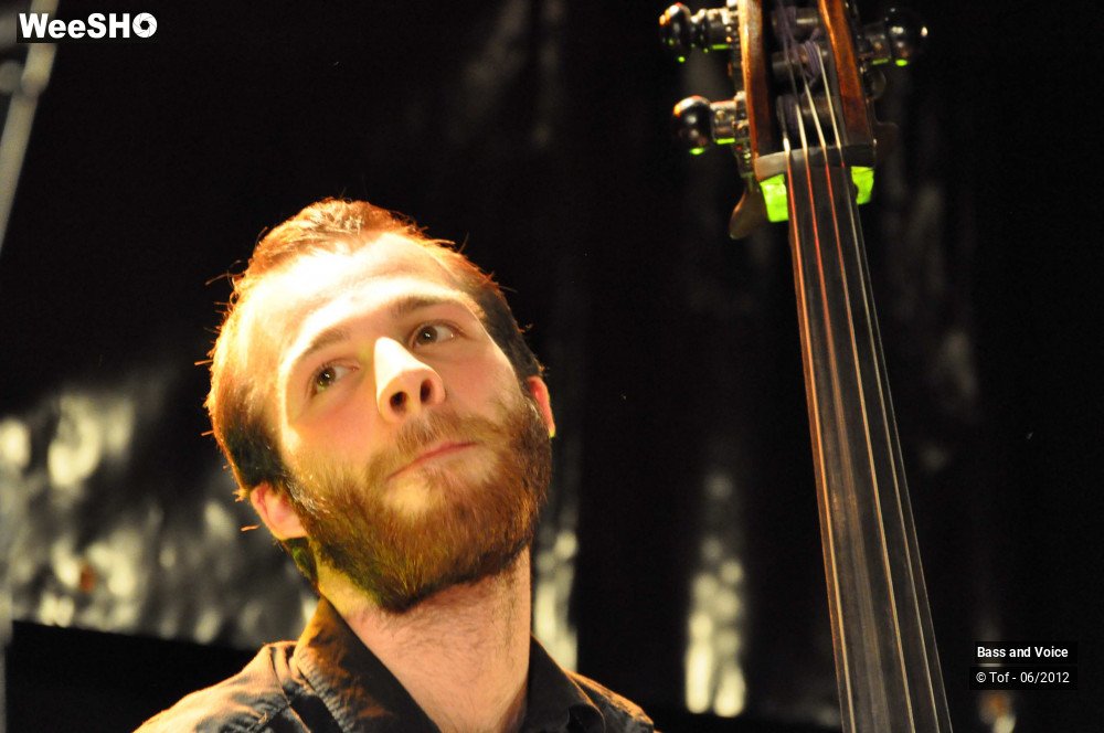 11/22 photos du spectacle Bass and Voice