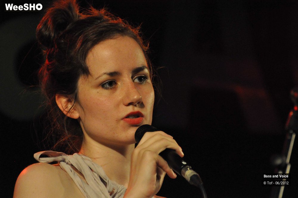 12/22 photos du spectacle Bass and Voice
