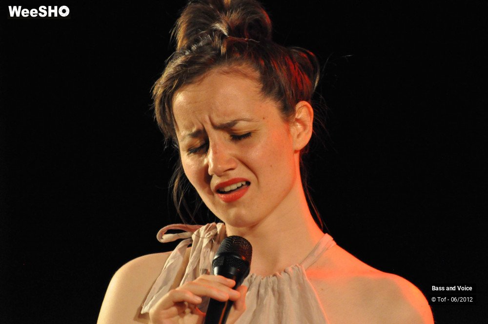 13/22 photos du spectacle Bass and Voice