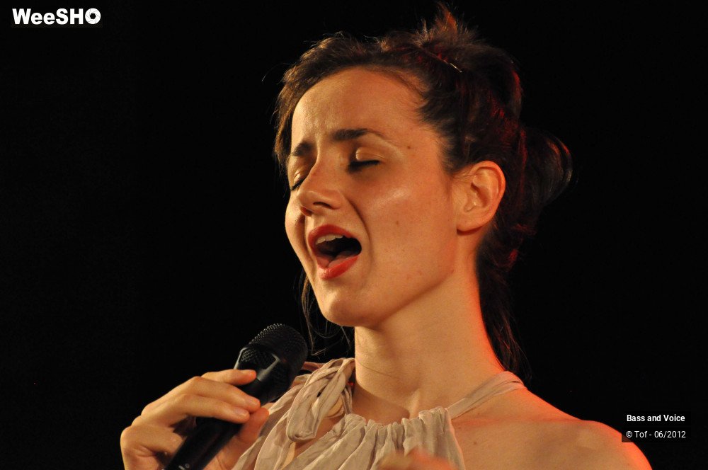 14/22 photos du spectacle Bass and Voice