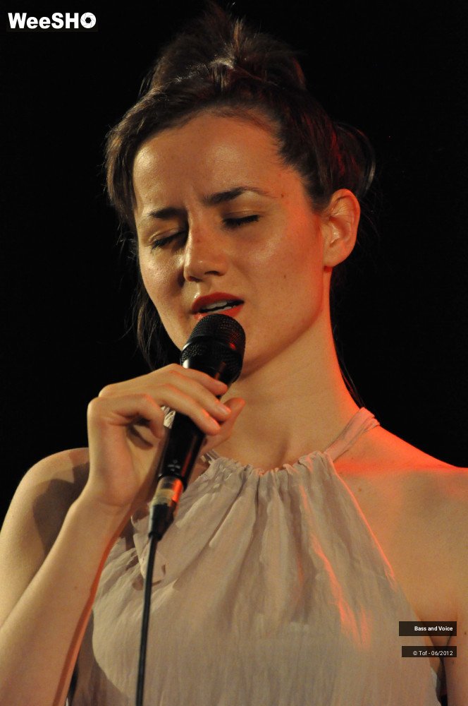 16/22 photos du spectacle Bass and Voice