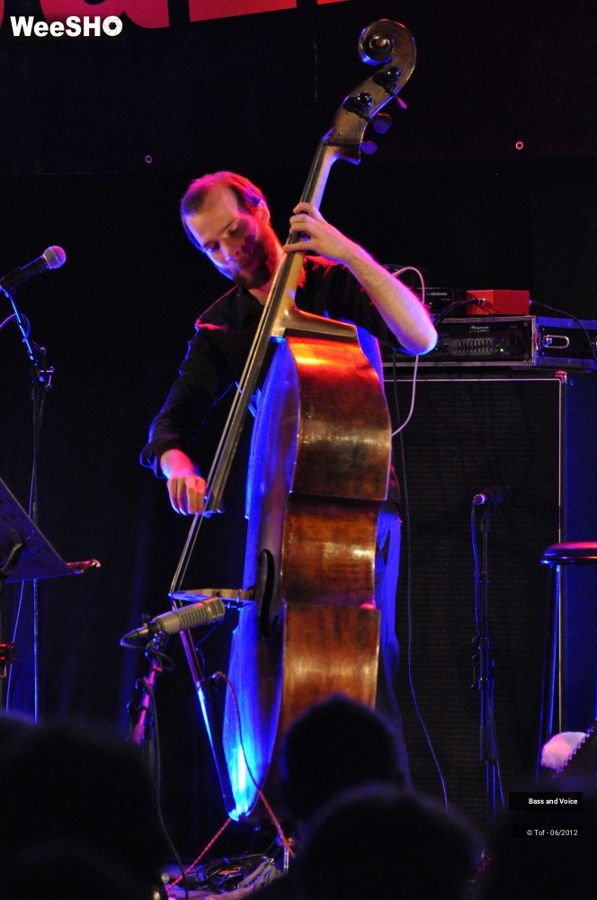 17/22 photos du spectacle Bass and Voice