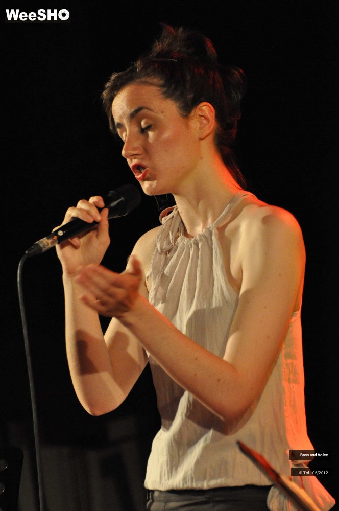 18/22 photos du spectacle Bass and Voice