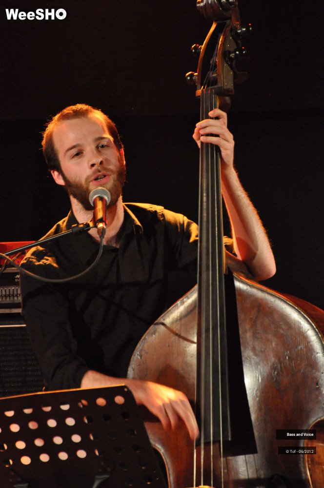 19/22 photos du spectacle Bass and Voice
