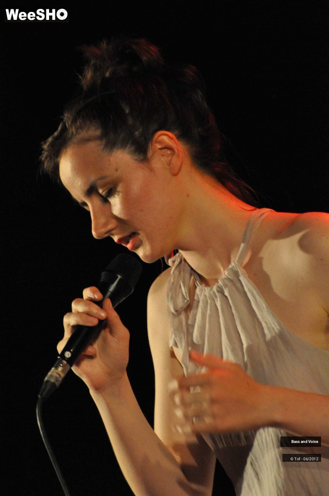 20/22 photos du spectacle Bass and Voice