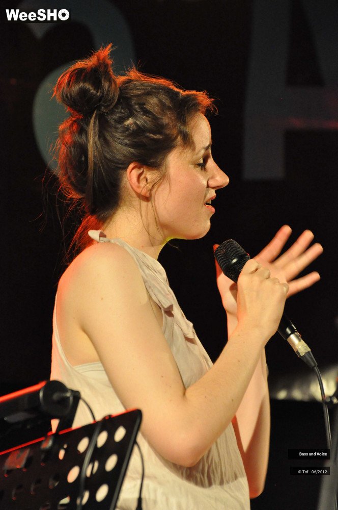 21/22 photos du spectacle Bass and Voice