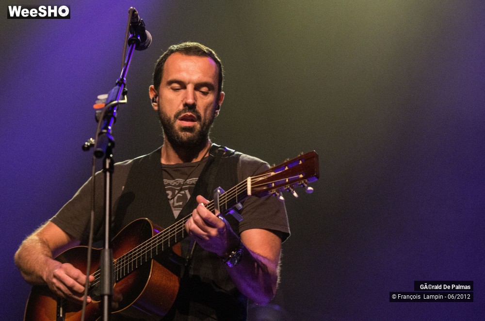 3/25 photos du spectacle Gérald de Palmas