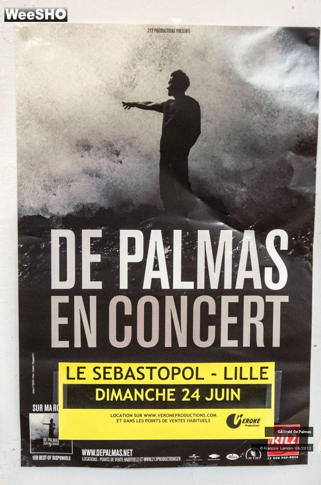 11/25 photos du spectacle Gérald de Palmas