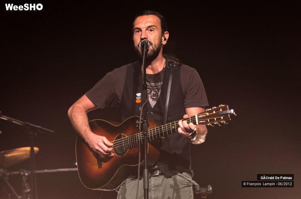 12/25 photos du spectacle Gérald de Palmas