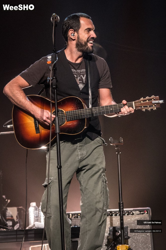 13/25 photos du spectacle Gérald de Palmas