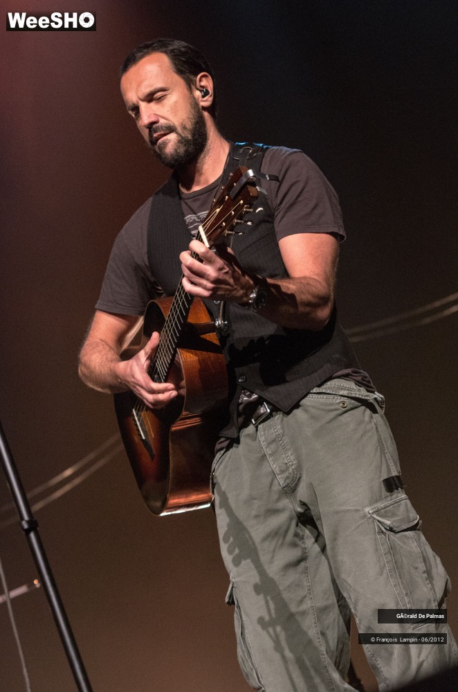 17/25 photos du spectacle Gérald de Palmas