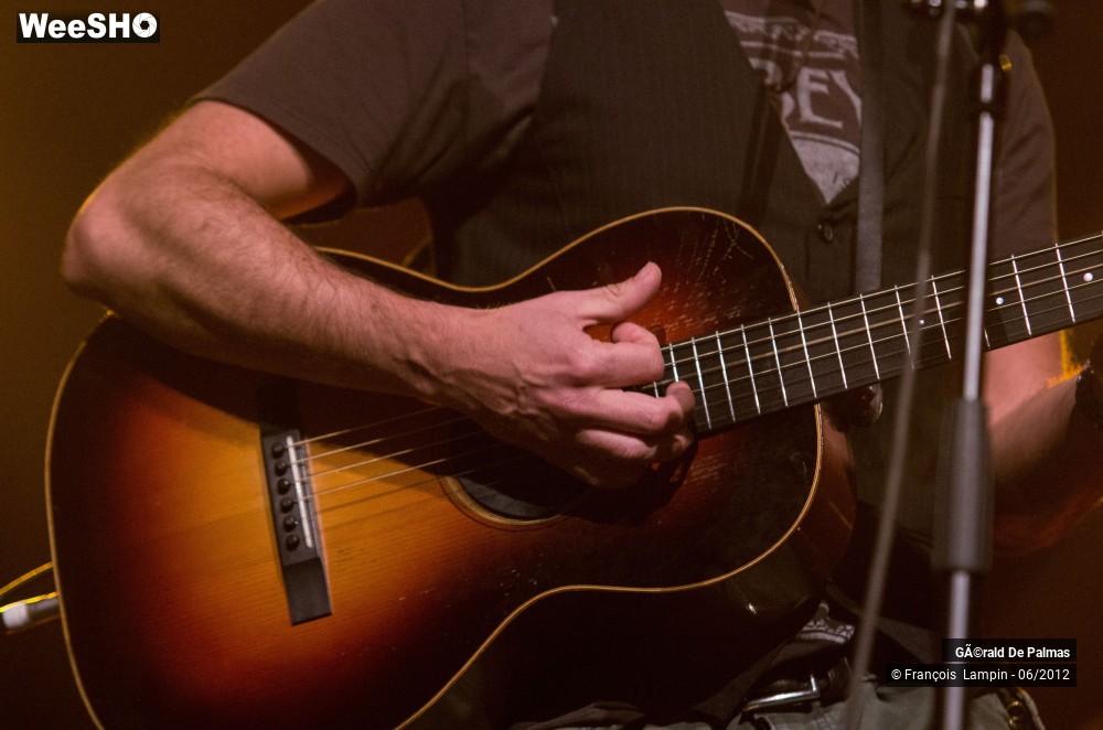 20/25 photos du spectacle Gérald de Palmas