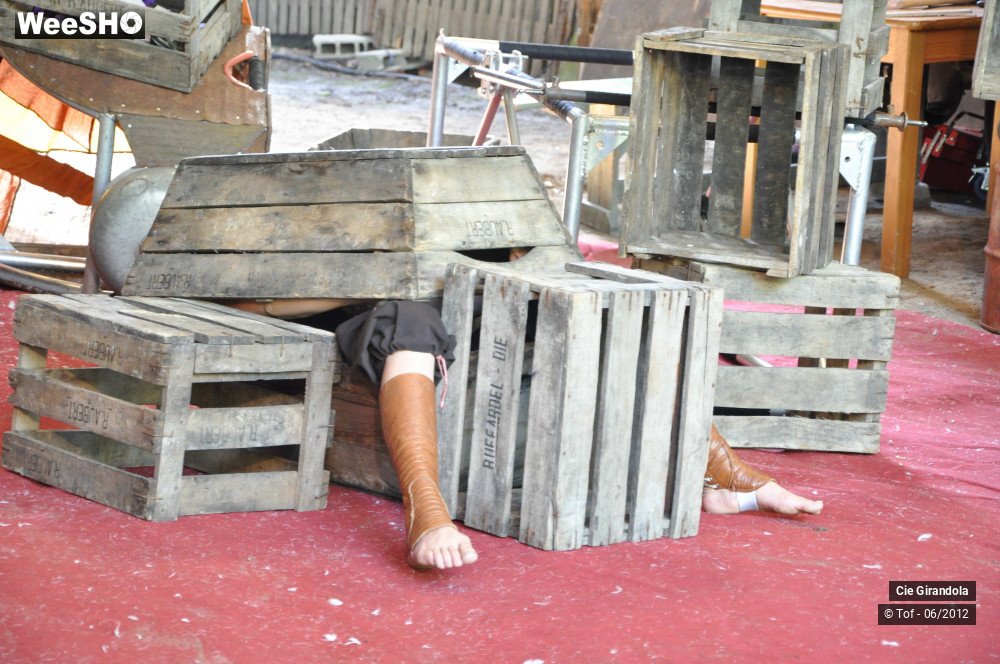 7/35 photos du spectacle Carnet de vol