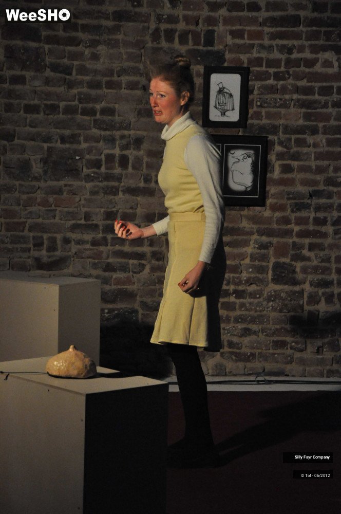 19/24 photos du spectacle SillyConn'