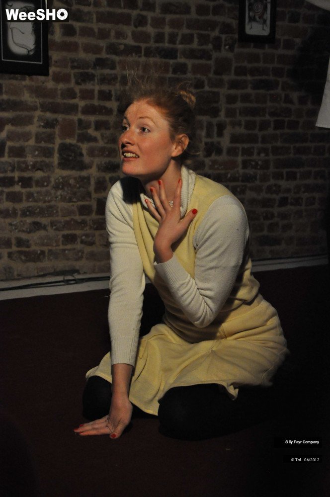 20/24 photos du spectacle SillyConn'