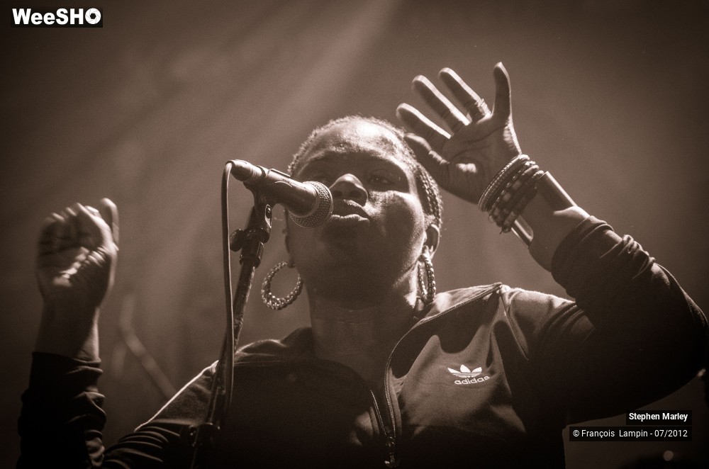 4/34 photos du spectacle Stephen Marley